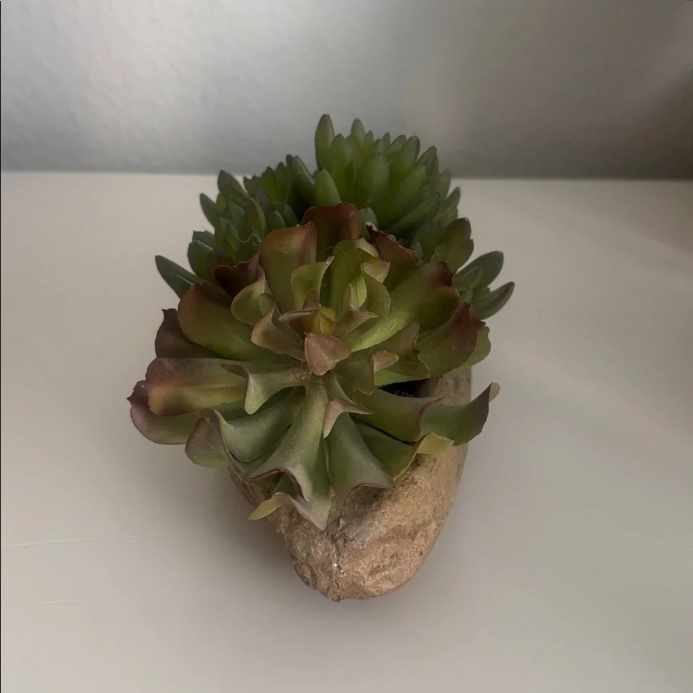 Pottery Barn Faux Succulent & Stone Arrangememt